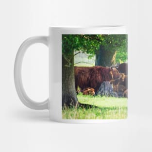 Highland cattle cows family having a rest in the cool shadow under trees Mug